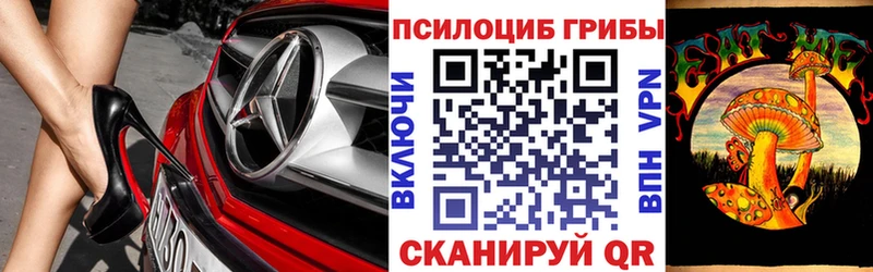 Псилоцибиновые грибы Magic Shrooms  Купить  Кирово-Чепецк 